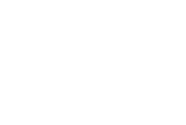 marronner 橡
